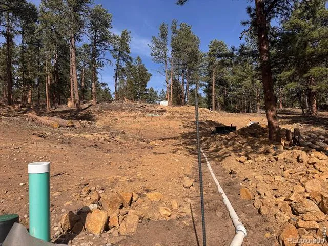 49 Pine Drive Lyons, CO 80540