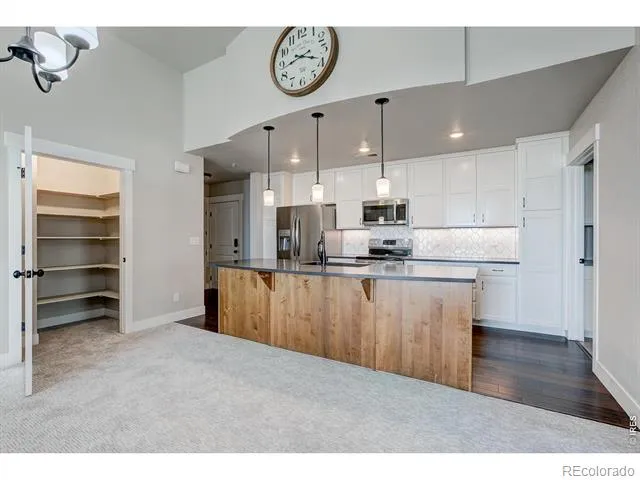 6672 Crystal Downs Drive #207 Windsor, CO 80550