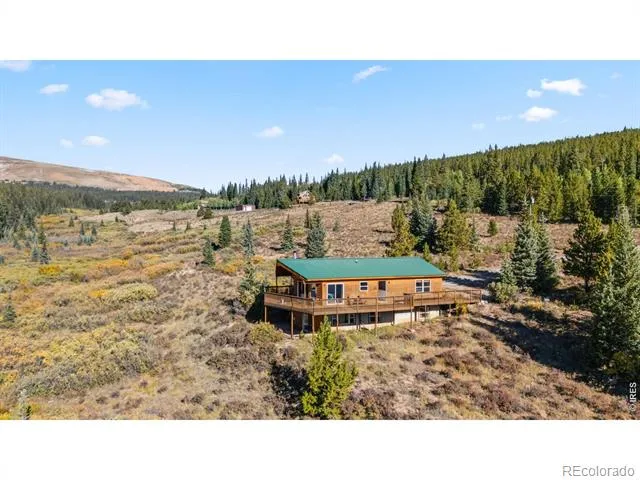 162 S Silk Sisters Place Fairplay, CO 80440