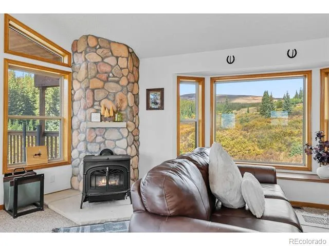 162 S Silk Sisters Place Fairplay, CO 80440