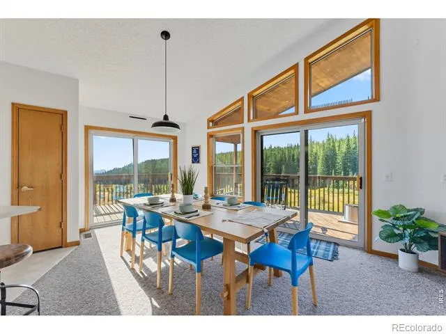 162 S Silk Sisters Place Fairplay, CO 80440