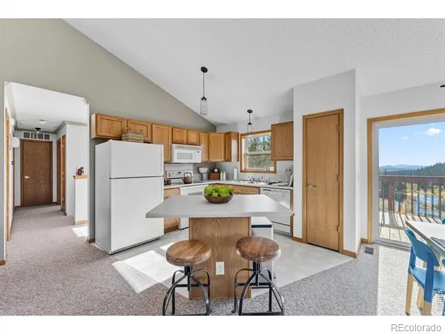 162 S Silk Sisters Place Fairplay, CO 80440