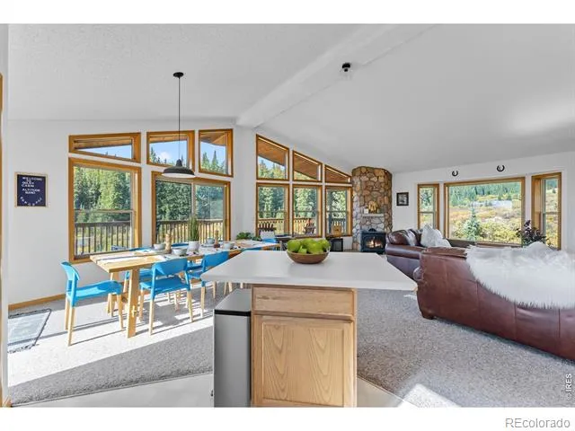 162 S Silk Sisters Place Fairplay, CO 80440