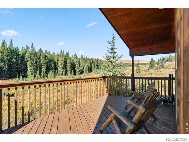 162 S Silk Sisters Place Fairplay, CO 80440