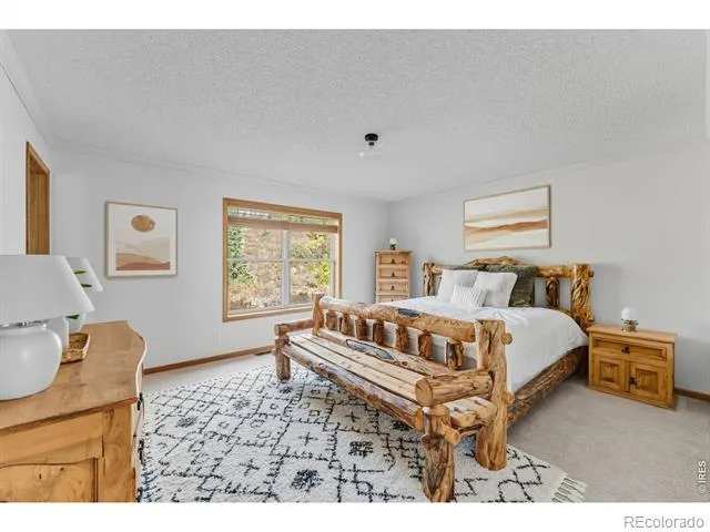 162 S Silk Sisters Place Fairplay, CO 80440