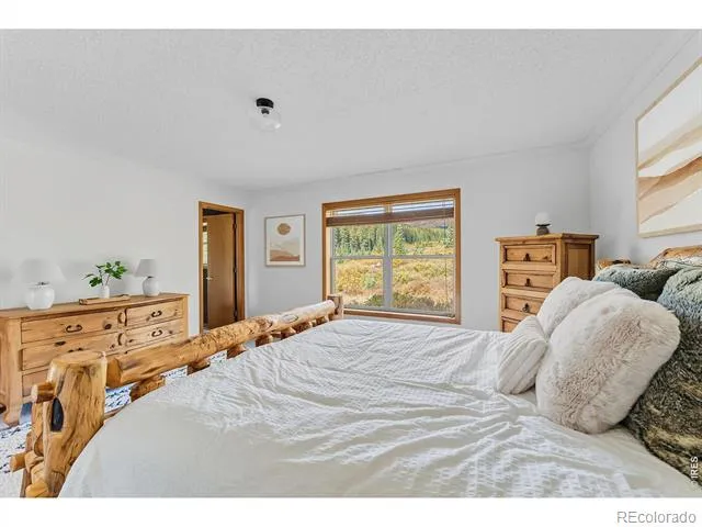162 S Silk Sisters Place Fairplay, CO 80440