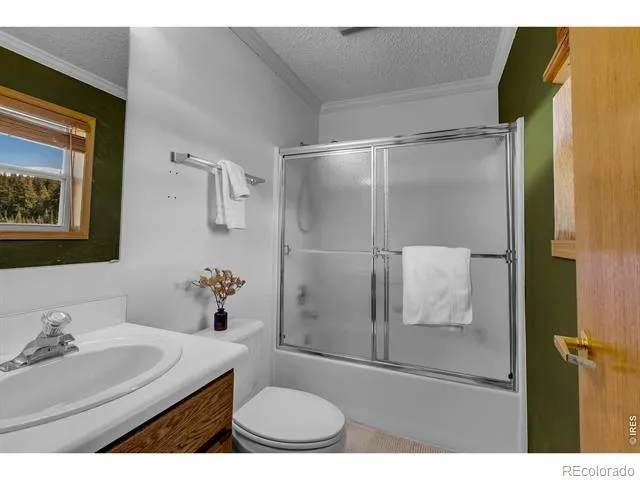 162 S Silk Sisters Place Fairplay, CO 80440