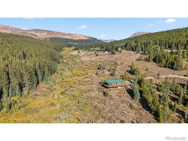 162 S Silk Sisters Place Fairplay, CO 80440