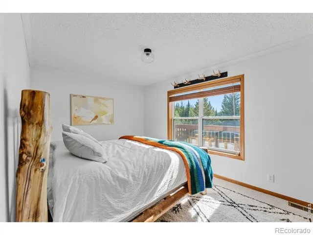 162 S Silk Sisters Place Fairplay, CO 80440