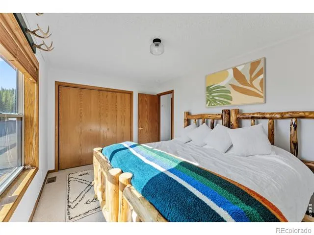162 S Silk Sisters Place Fairplay, CO 80440