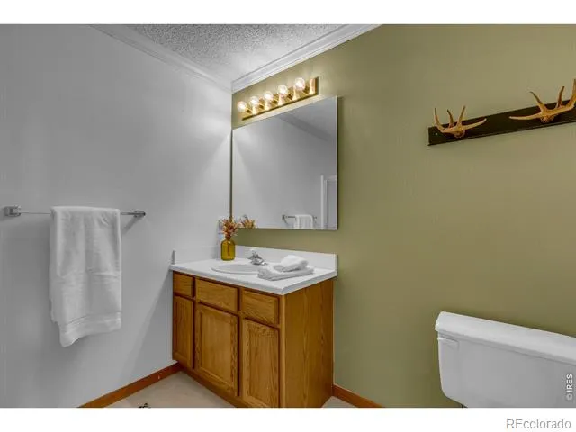 162 S Silk Sisters Place Fairplay, CO 80440