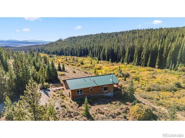 162 S Silk Sisters Place Fairplay, CO 80440