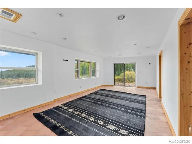 162 S Silk Sisters Place Fairplay, CO 80440
