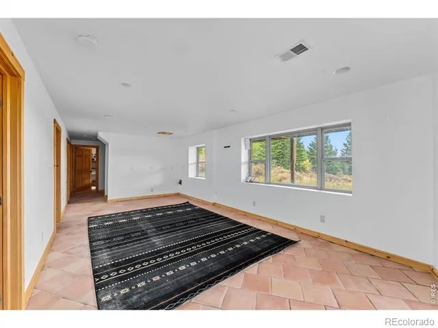 162 S Silk Sisters Place Fairplay, CO 80440