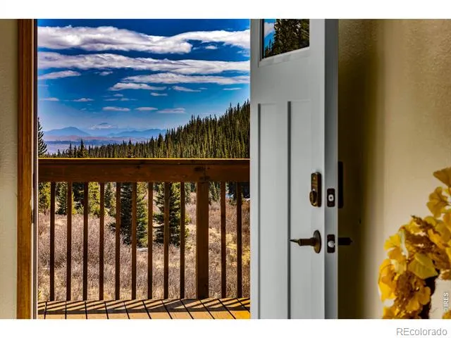 162 S Silk Sisters Place Fairplay, CO 80440