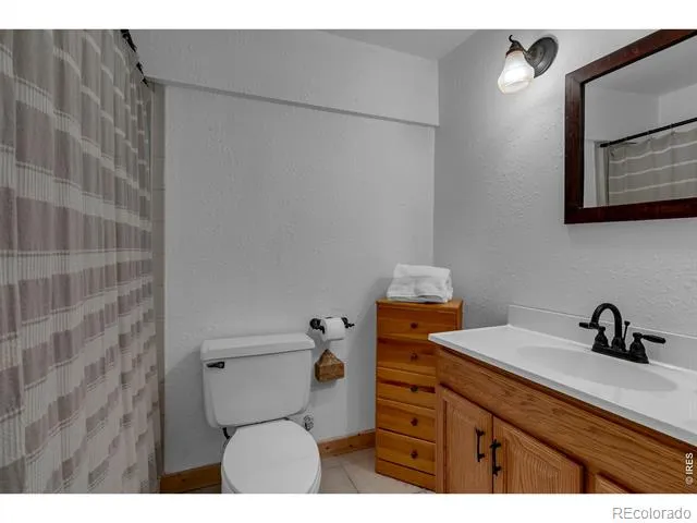 162 S Silk Sisters Place Fairplay, CO 80440
