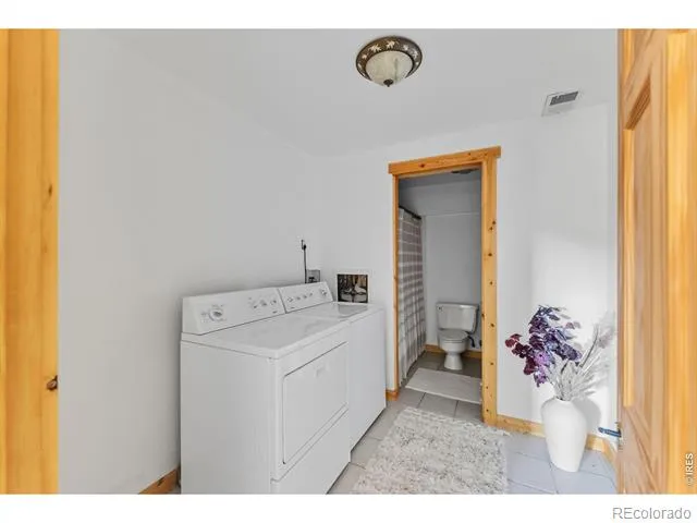 162 S Silk Sisters Place Fairplay, CO 80440