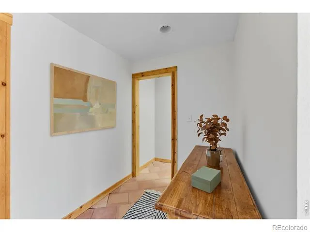 162 S Silk Sisters Place Fairplay, CO 80440