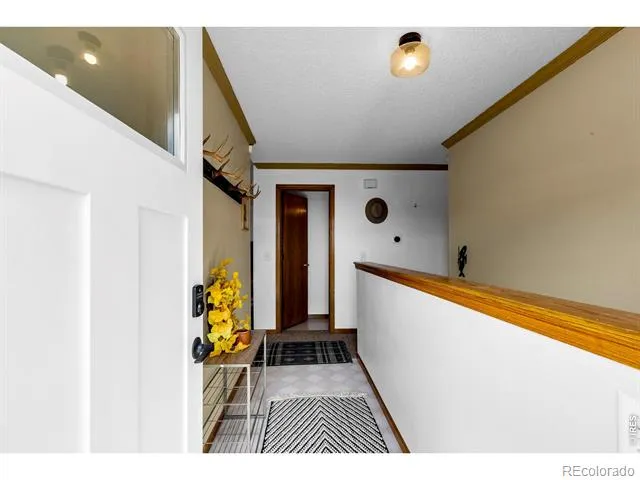 162 S Silk Sisters Place Fairplay, CO 80440