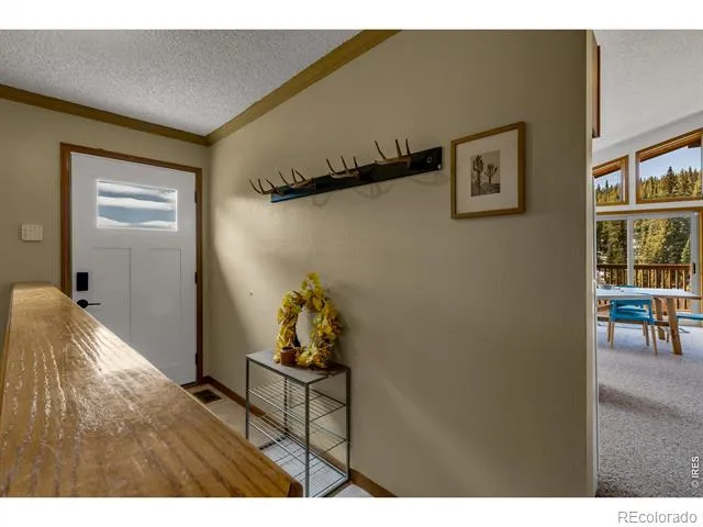 162 S Silk Sisters Place Fairplay, CO 80440