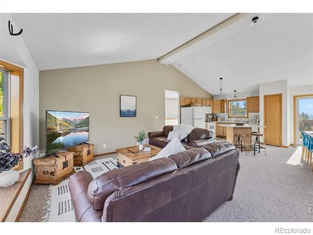 162 S Silk Sisters Place Fairplay, CO 80440