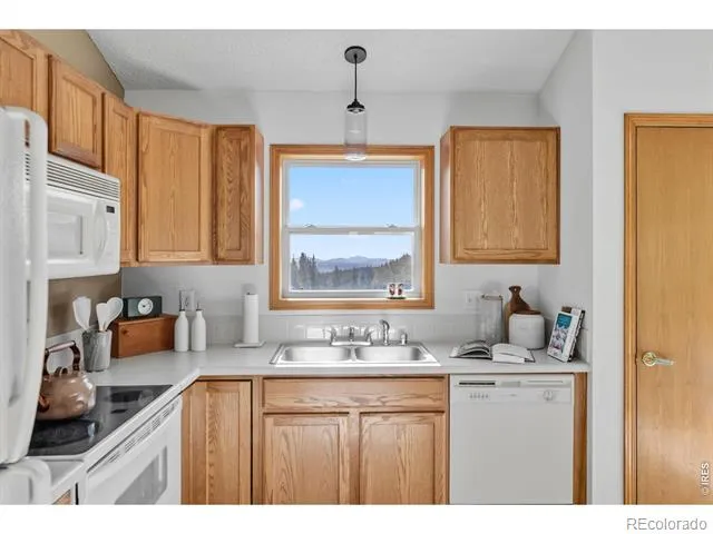 162 S Silk Sisters Place Fairplay, CO 80440