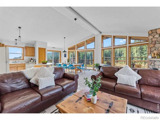 162 S Silk Sisters Place Fairplay, CO 80440