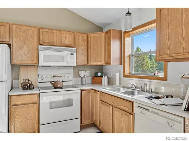 162 S Silk Sisters Place Fairplay, CO 80440