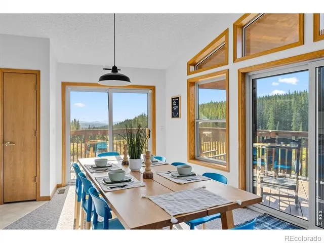 162 S Silk Sisters Place Fairplay, CO 80440