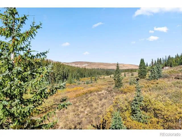 162 S Silk Sisters Place Fairplay, CO 80440