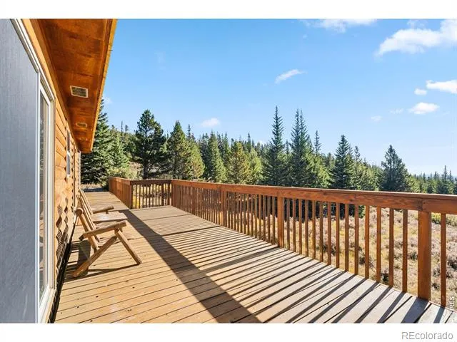 162 S Silk Sisters Place Fairplay, CO 80440