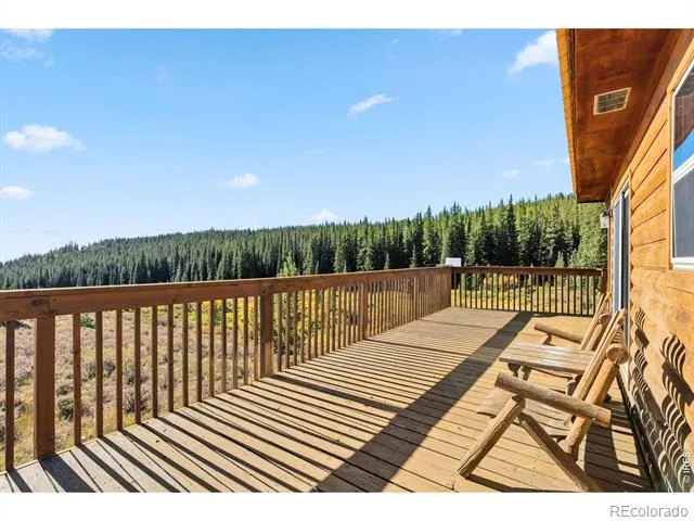 162 S Silk Sisters Place Fairplay, CO 80440
