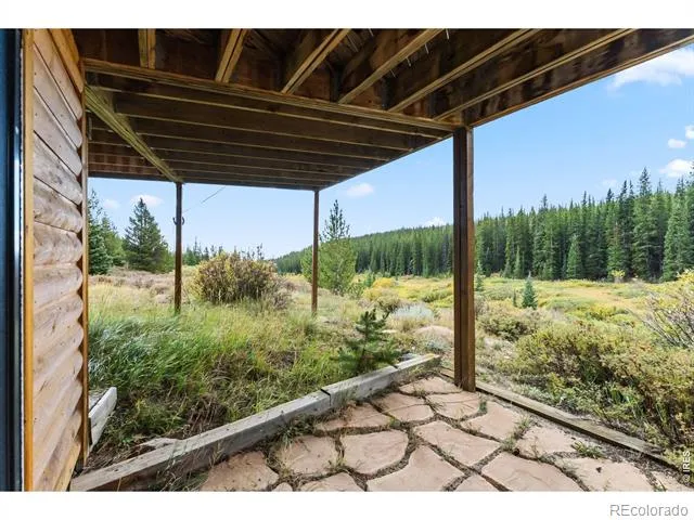 162 S Silk Sisters Place Fairplay, CO 80440
