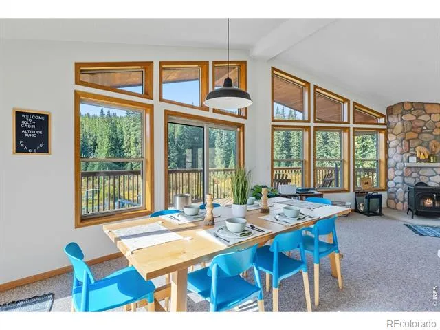 162 S Silk Sisters Place Fairplay, CO 80440