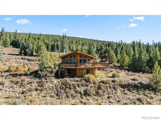 162 S Silk Sisters Place Fairplay, CO 80440