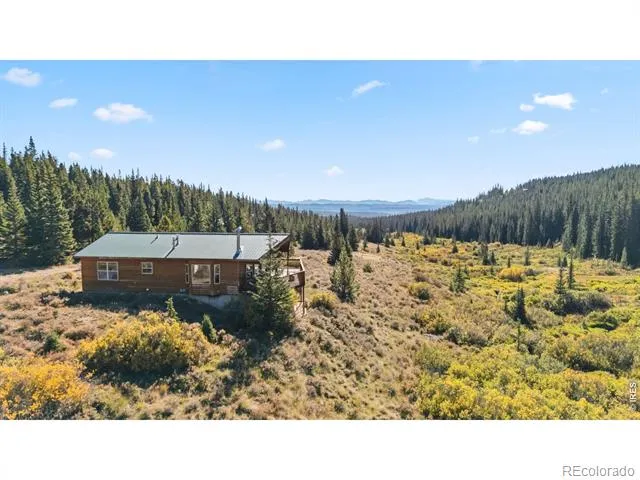 162 S Silk Sisters Place Fairplay, CO 80440