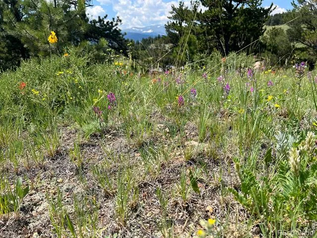 1182 Ridge Road Nederland, CO 80466