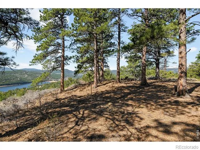 1182 Ridge Road Nederland, CO 80466