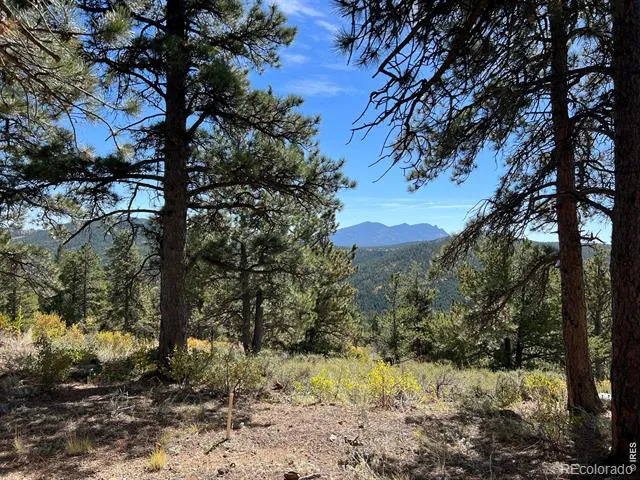 1182 Ridge Road Nederland, CO 80466