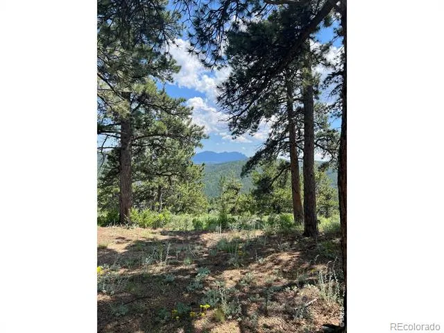 1182 Ridge Road Nederland, CO 80466