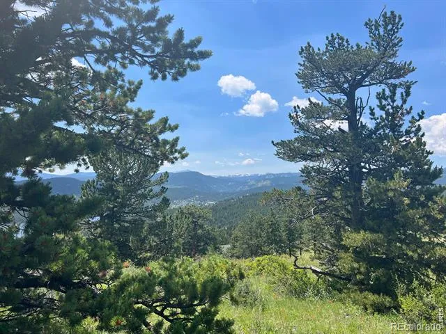 1182 Ridge Road Nederland, CO 80466