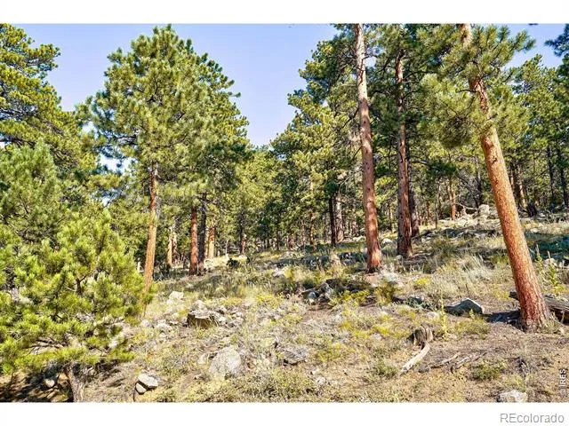 695 Cutter Lane Boulder, CO 80302