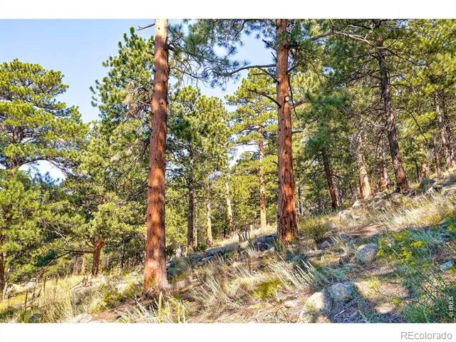 695 Cutter Lane Boulder, CO 80302
