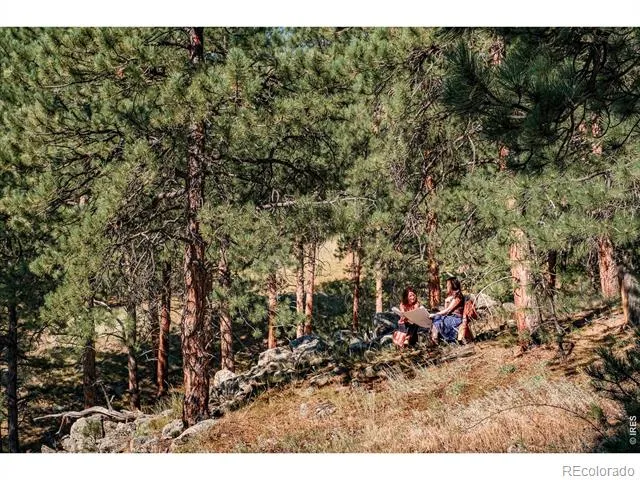 695 Cutter Lane Boulder, CO 80302