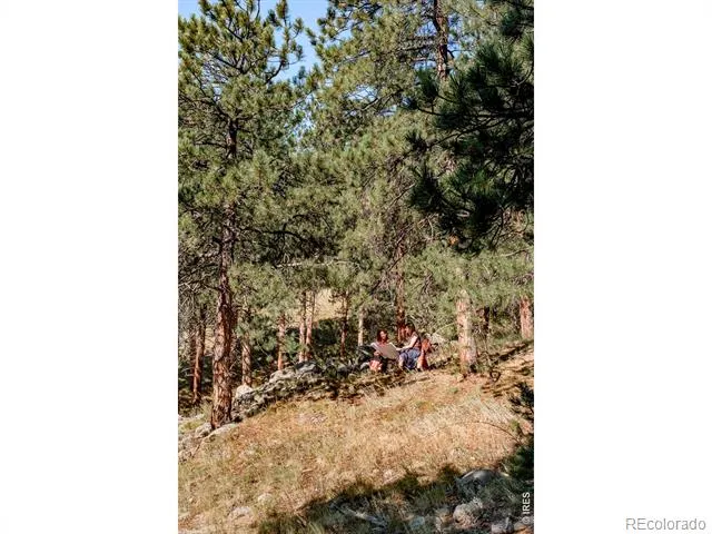 695 Cutter Lane Boulder, CO 80302