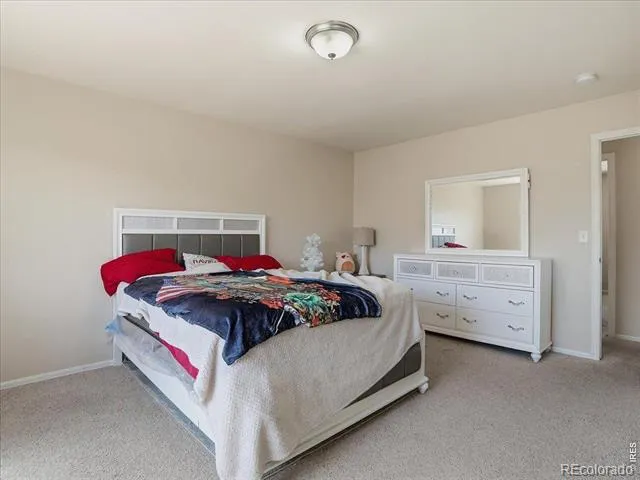 8406 17th Street Greeley, CO 80634