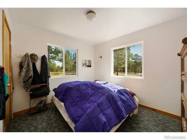 255 Elk Park Road Livermore, CO 80536