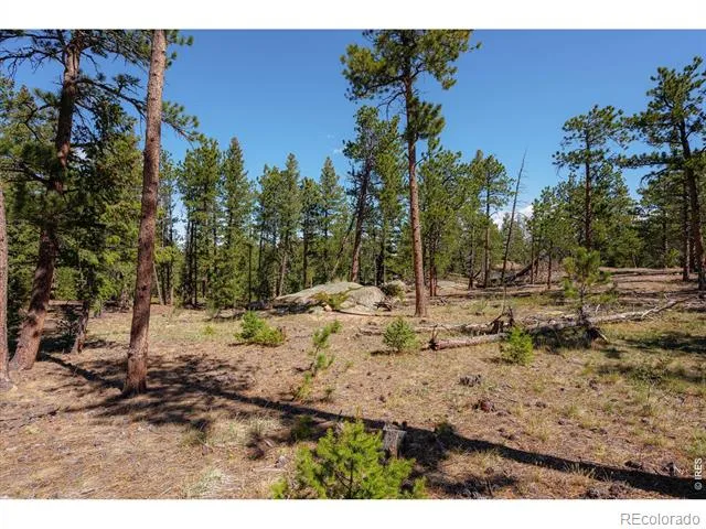 255 Elk Park Road Livermore, CO 80536