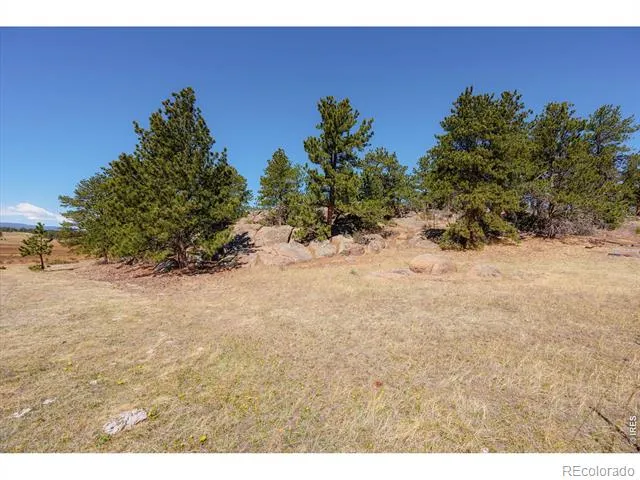 255 Elk Park Road Livermore, CO 80536