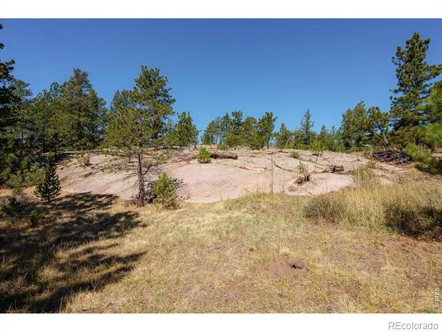 255 Elk Park Road Livermore, CO 80536